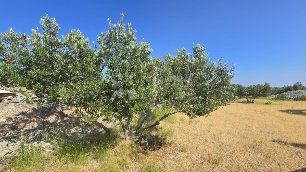 Terreno agricolo Milna, 9.819m2