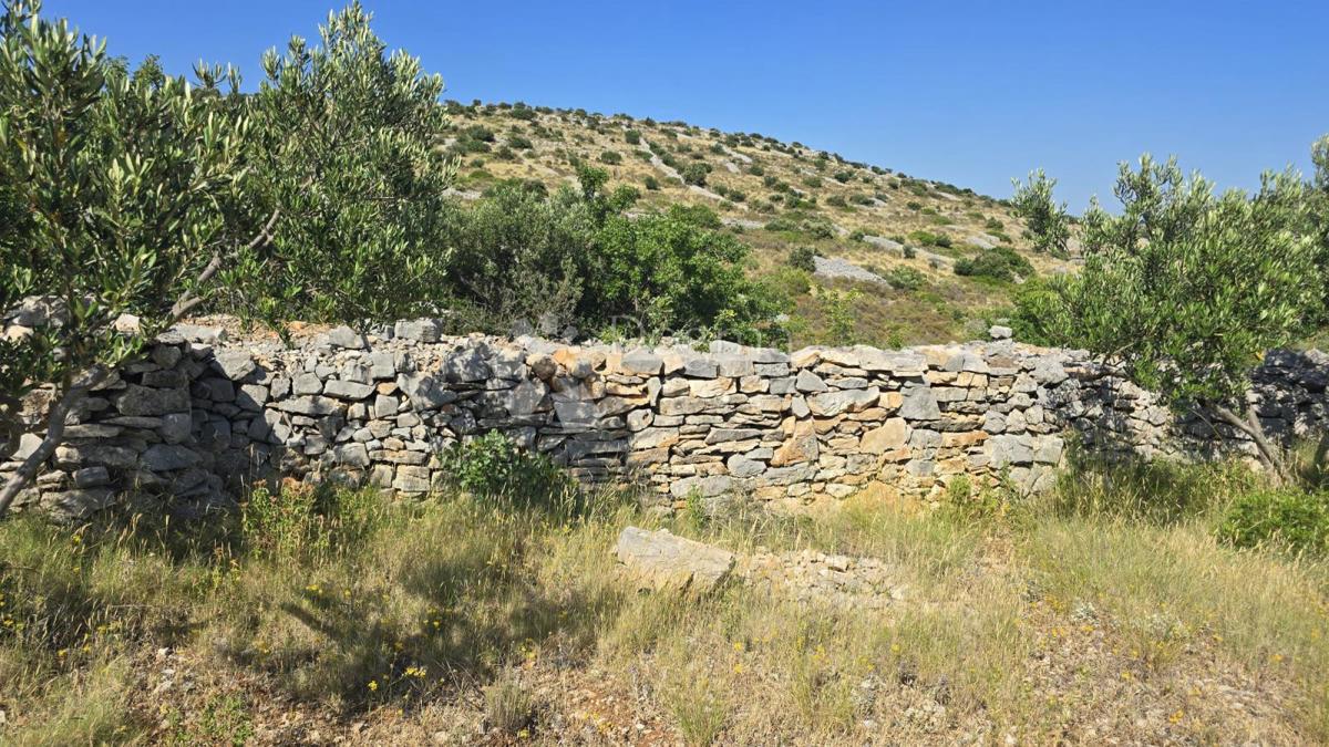 Terreno agricolo Milna, 9.819m2