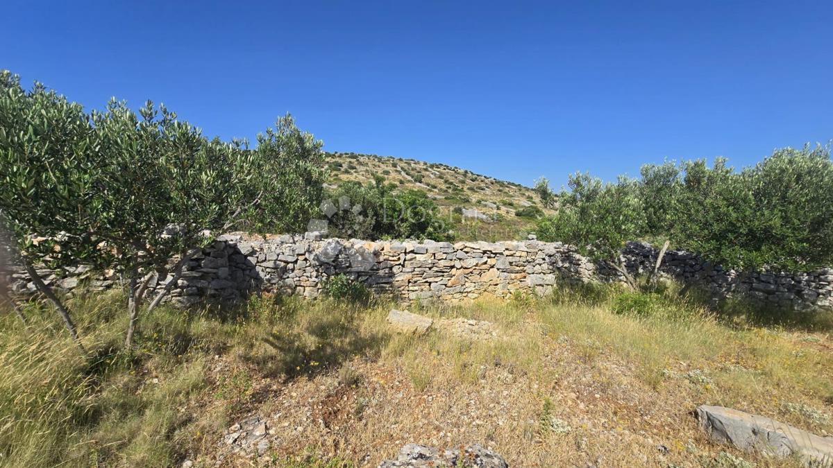 Terreno agricolo Milna, 9.819m2