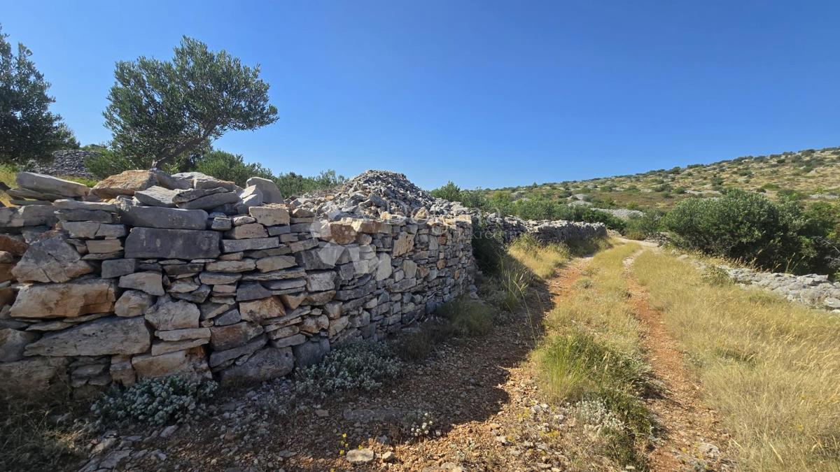 Terreno agricolo Milna, 9.819m2