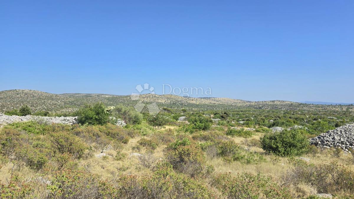 Terreno agricolo Milna, 9.819m2