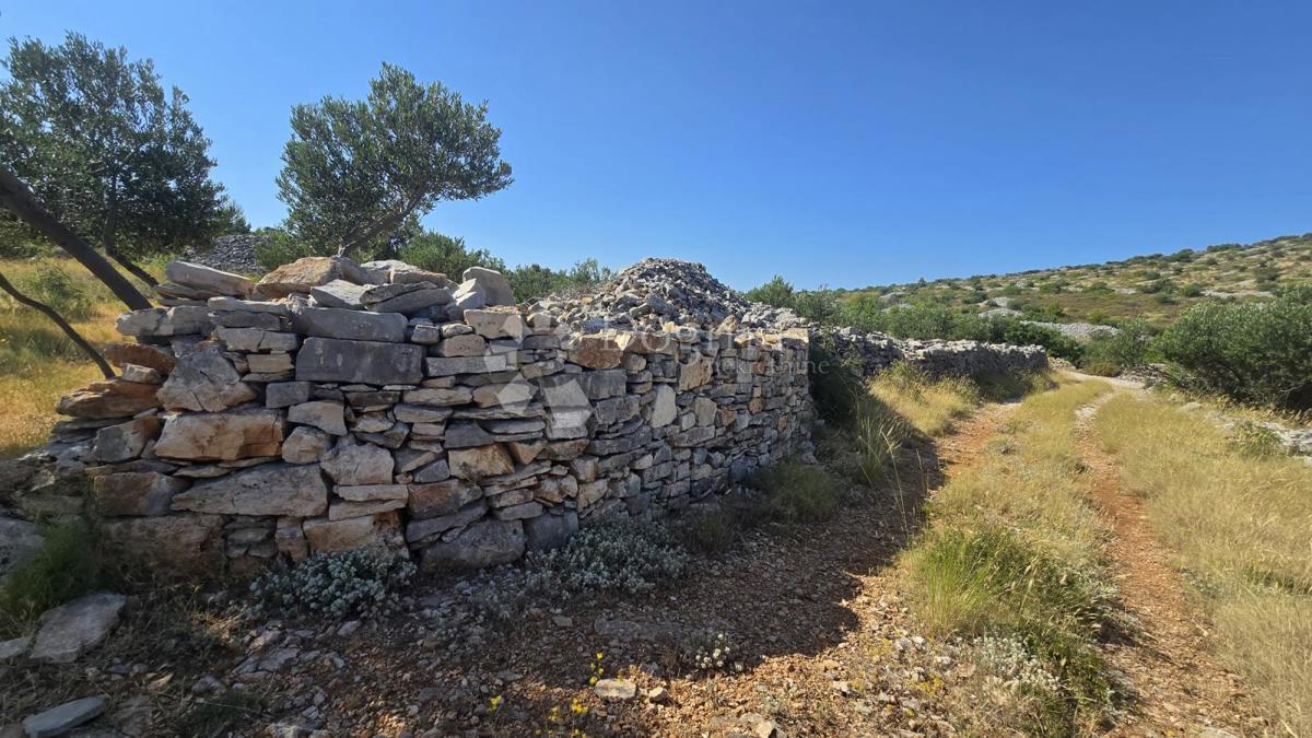 Terreno agricolo Milna, 9.819m2