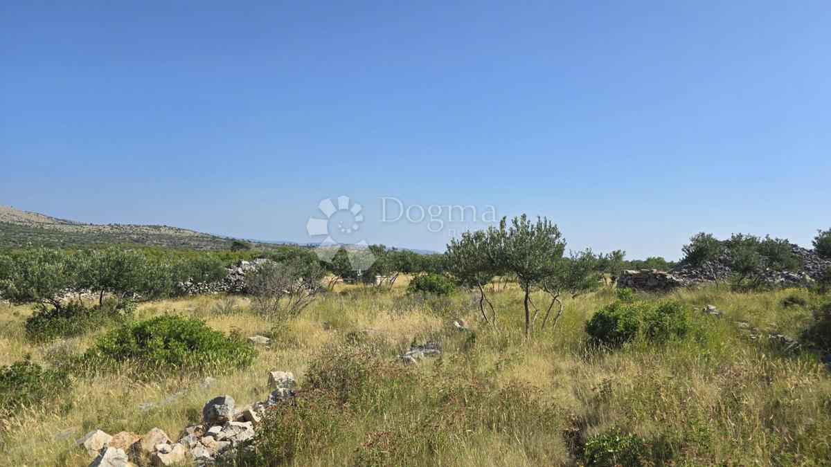 Terreno agricolo Milna, 9.819m2