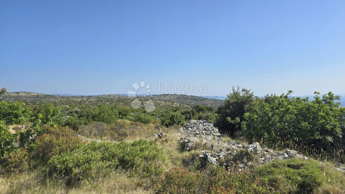 Terreno agricolo Milna, 9.819m2