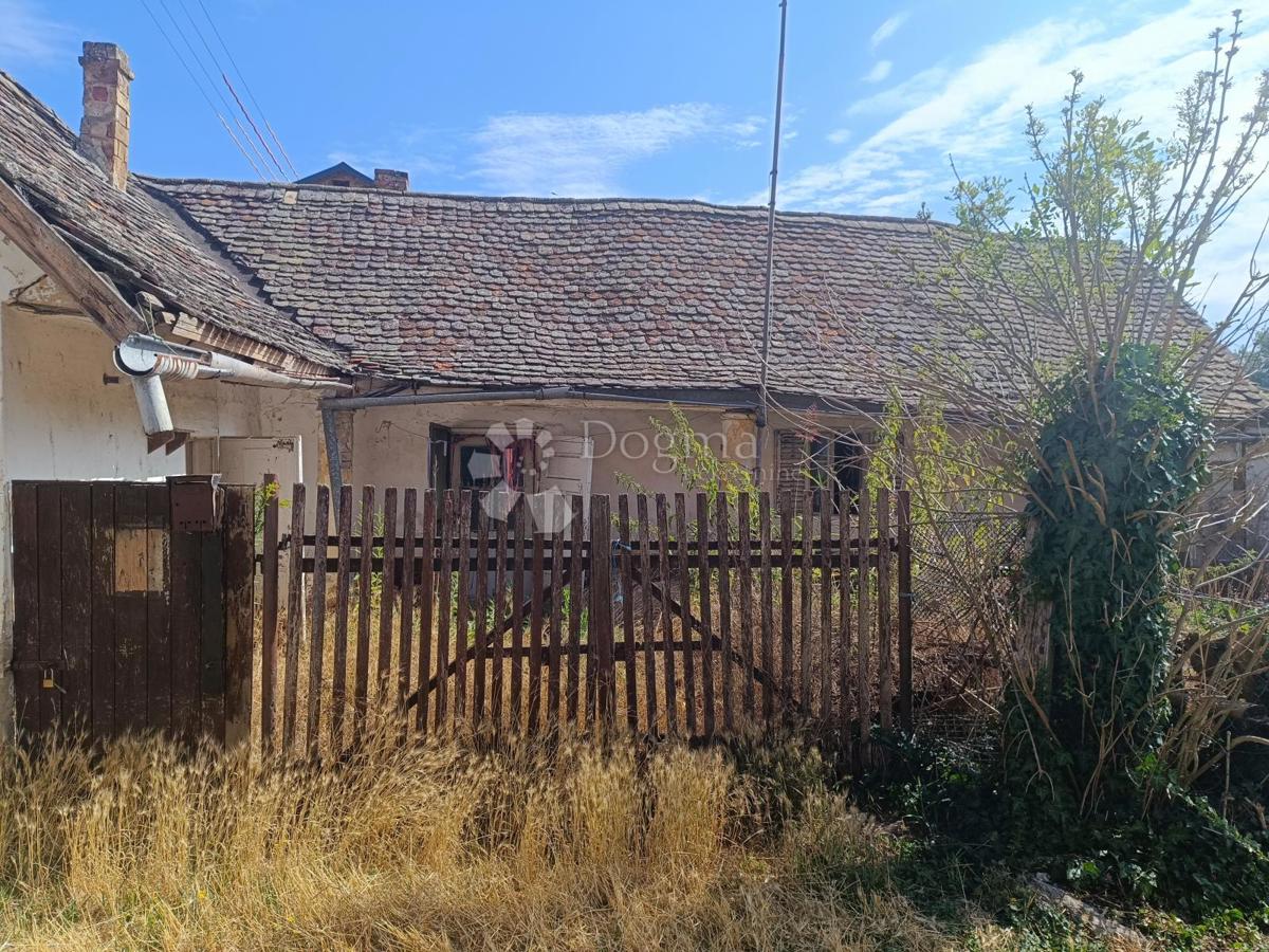 Casa Kopačevo, Bilje, 534m2