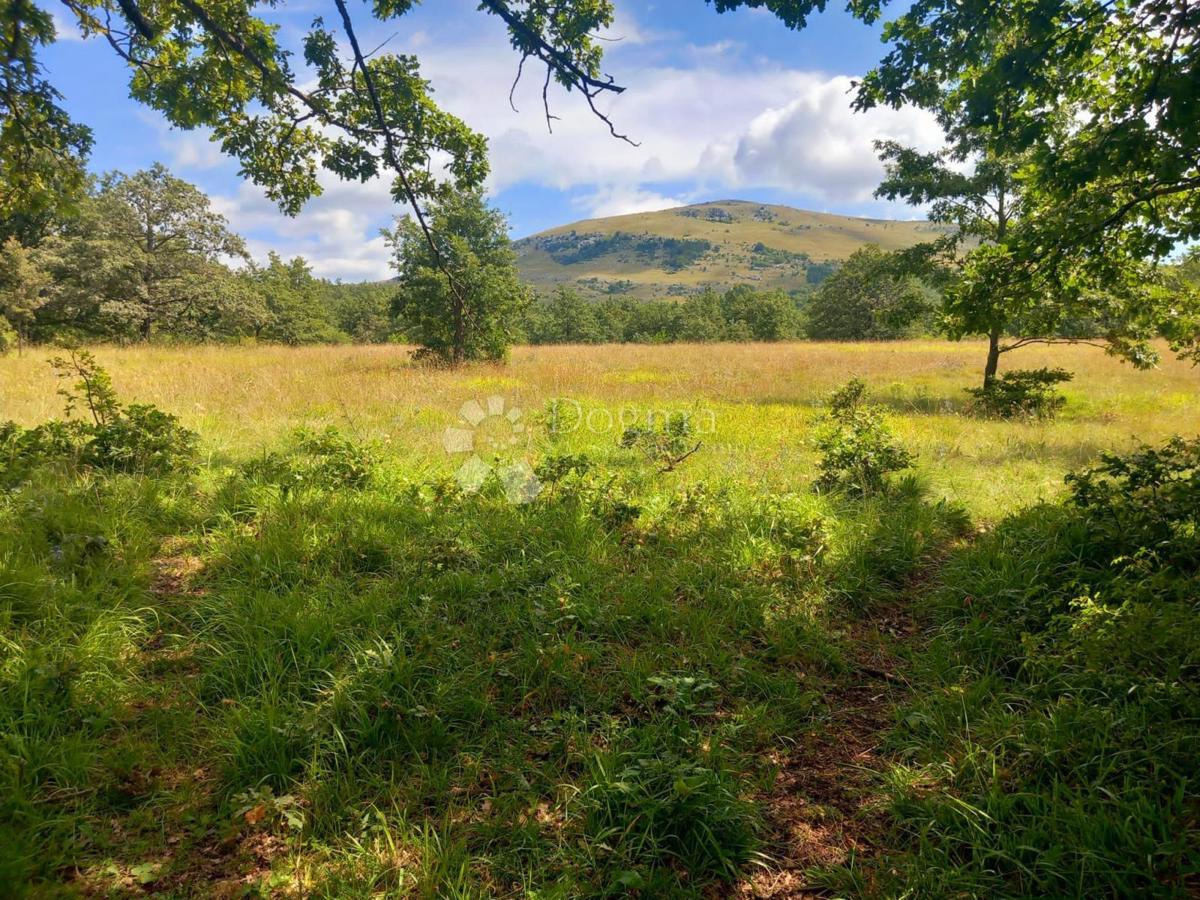 Terreno agricolo Rudopolje Bruvanjsko, Gračac, 150.210m2