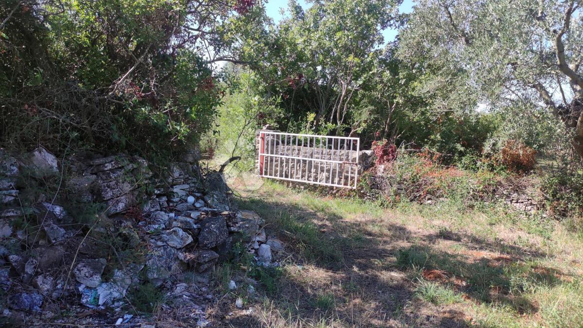 Terreno agricolo Peroj, Vodnjan, 3.759m2