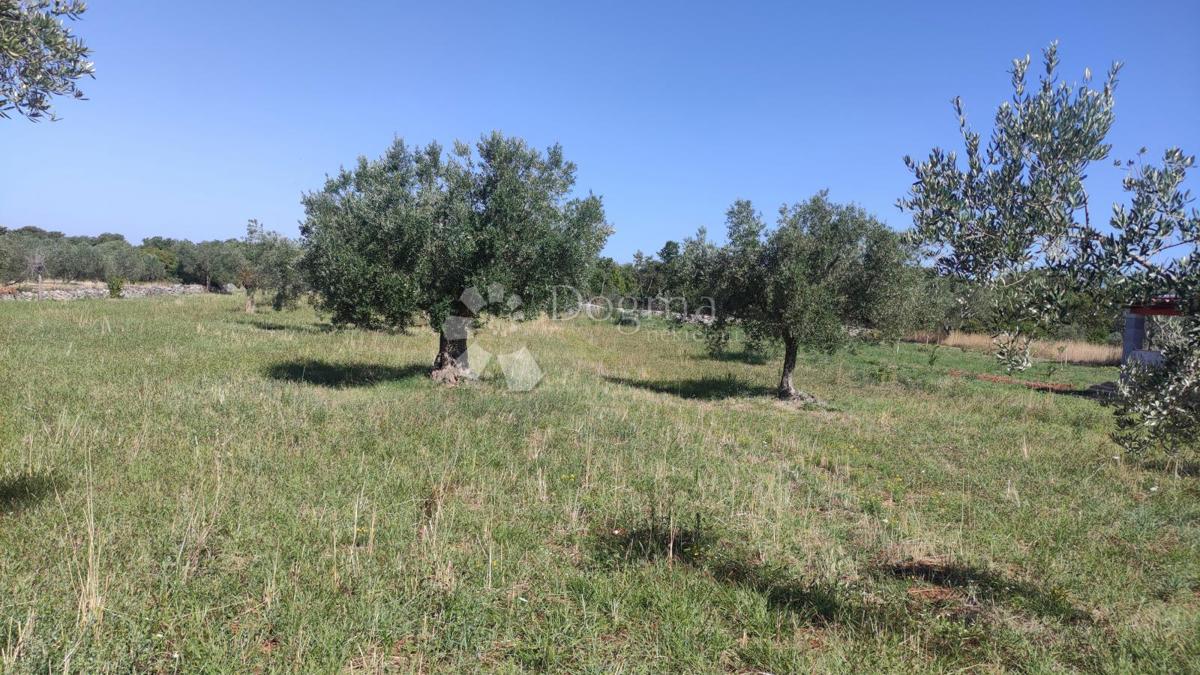 Terreno agricolo Peroj, Vodnjan, 3.759m2