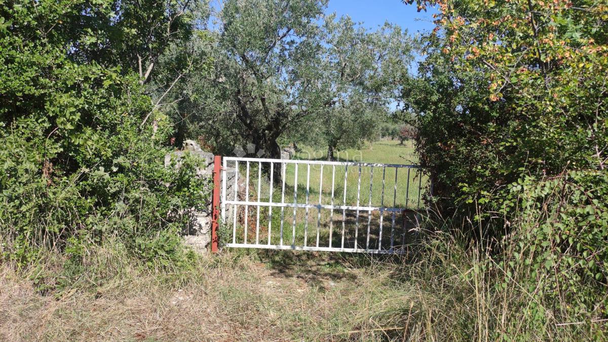 Terreno agricolo Peroj, Vodnjan, 3.759m2