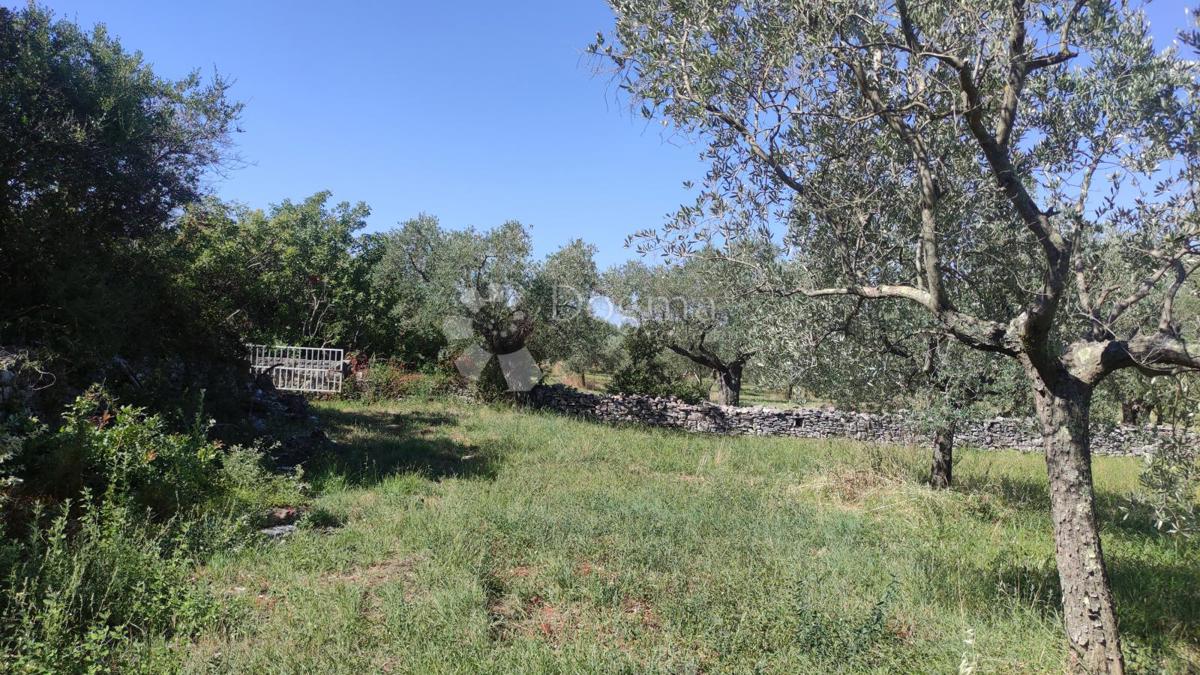 Terreno agricolo Peroj, Vodnjan, 3.759m2