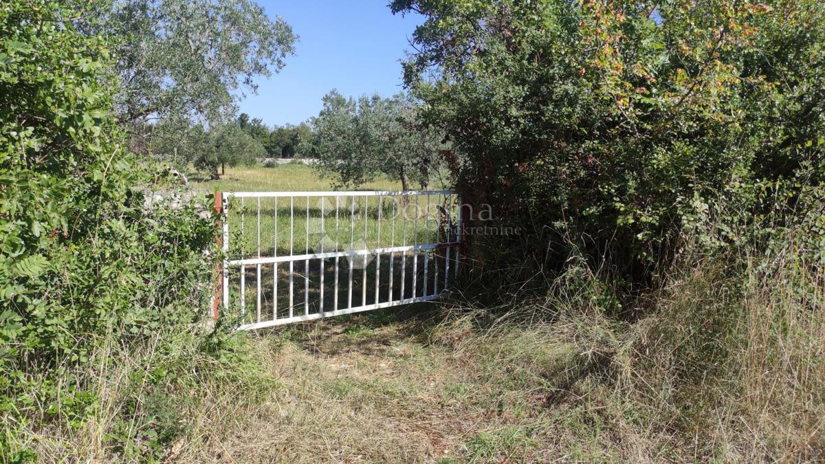 Terreno agricolo Peroj, Vodnjan, 3.759m2