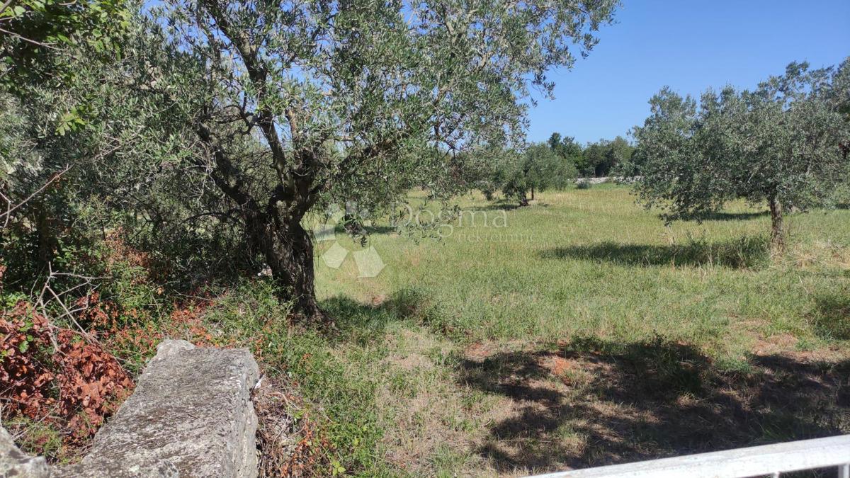 Terreno agricolo Peroj, Vodnjan, 3.759m2