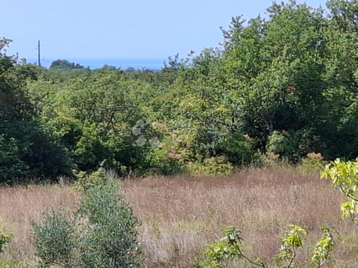 Terreno edificabile Kaštel, Buje, 999m2