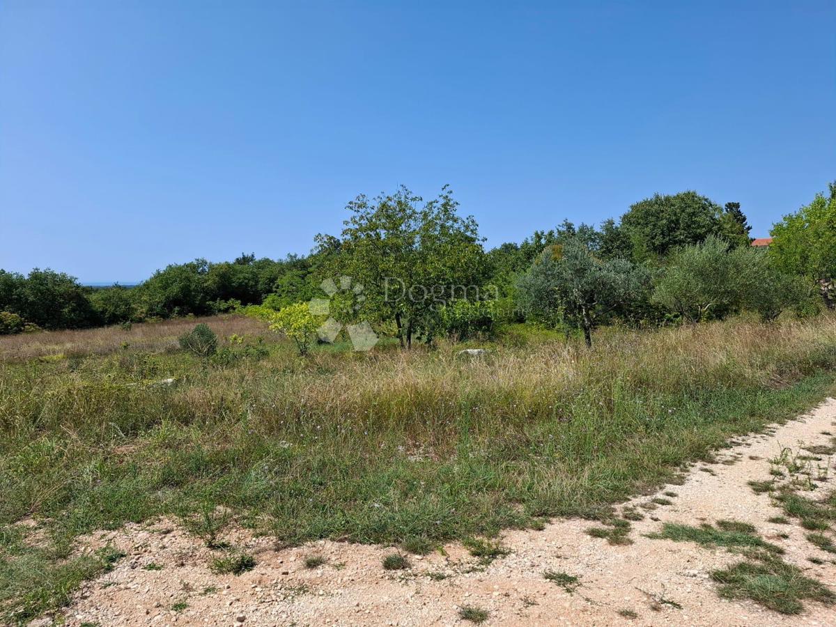 Terreno edificabile Kaštel, Buje, 999m2