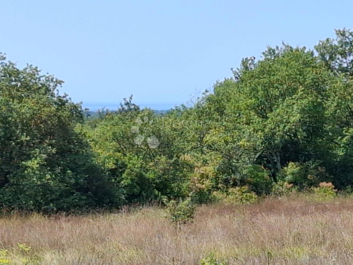 Terreno edificabile Kaštel, Buje, 999m2