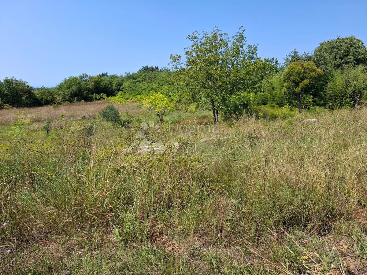 Terreno edificabile Kaštel, Buje, 999m2
