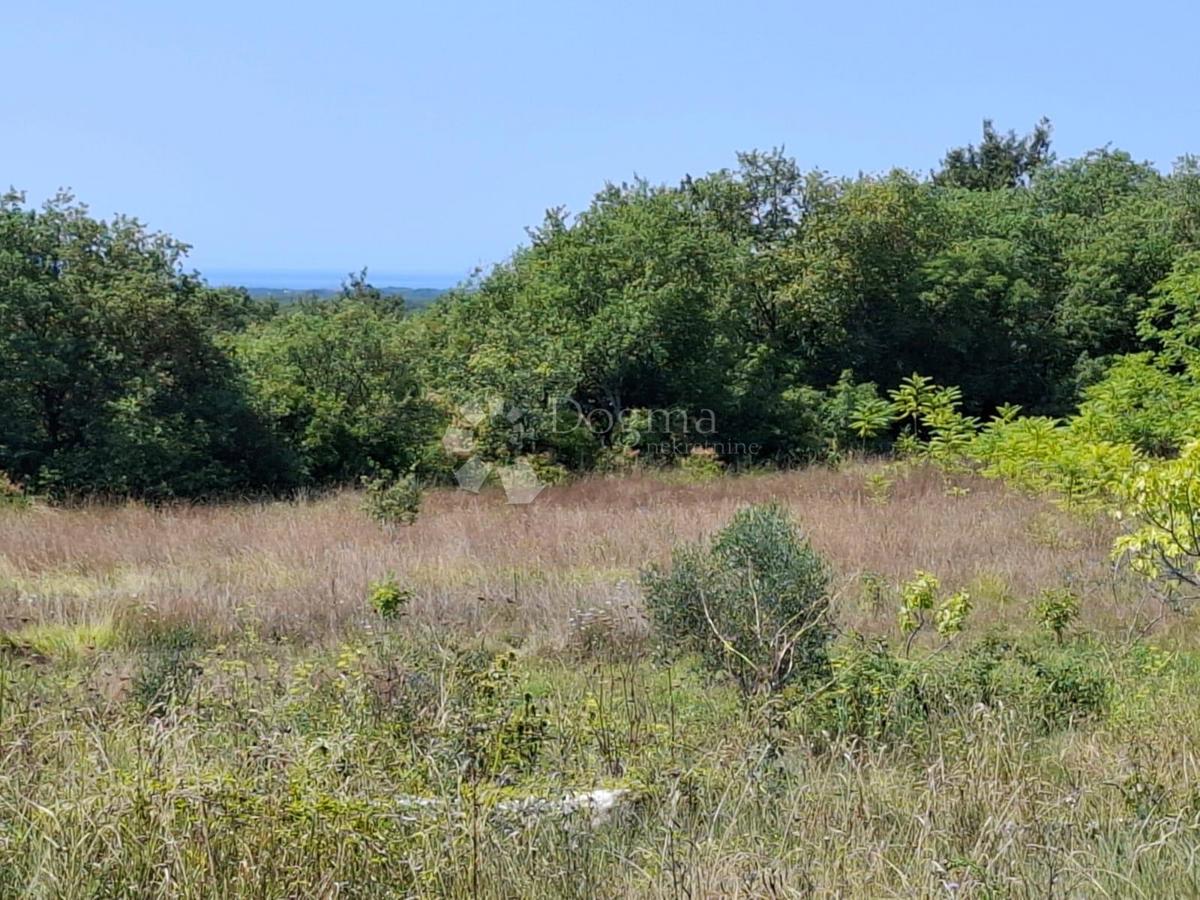 Terreno edificabile Kaštel, Buje, 999m2