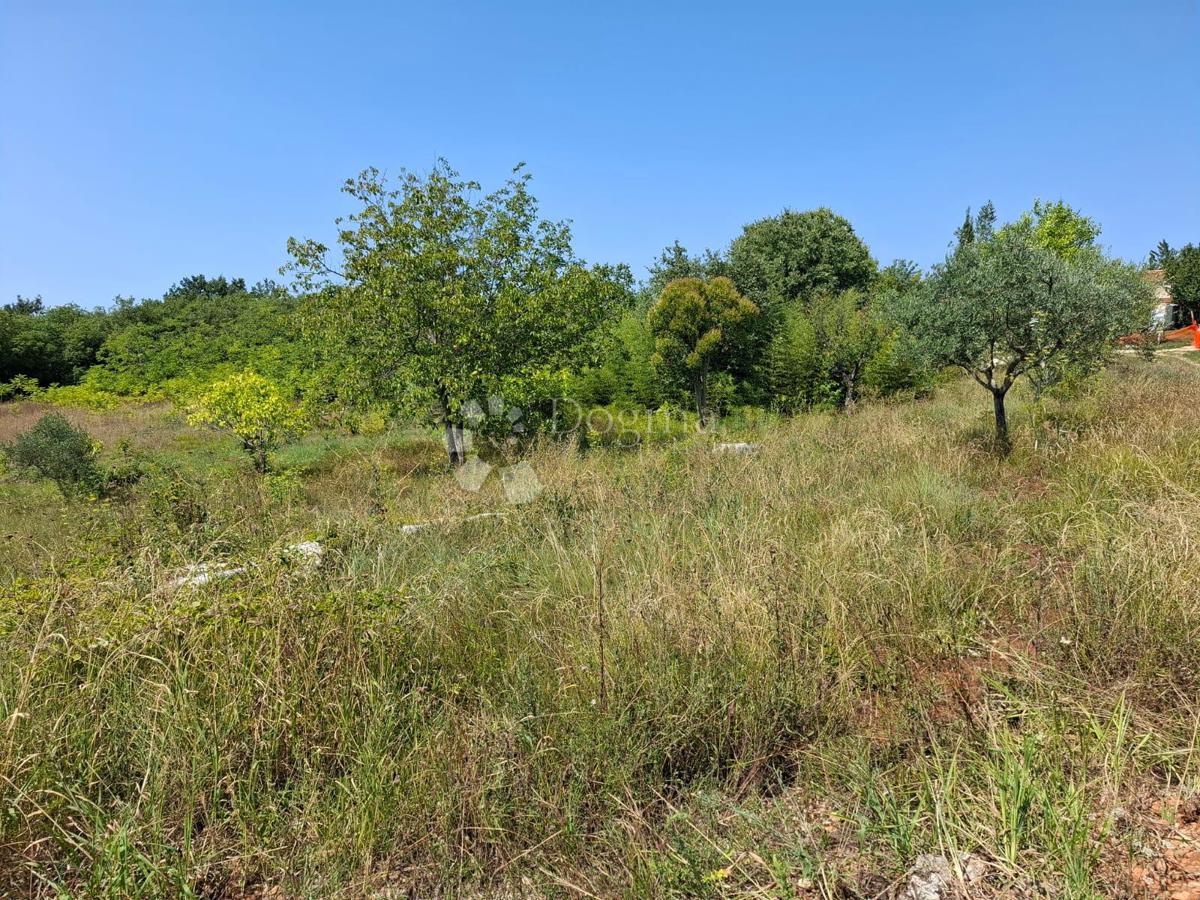 Terreno edificabile Kaštel, Buje, 999m2