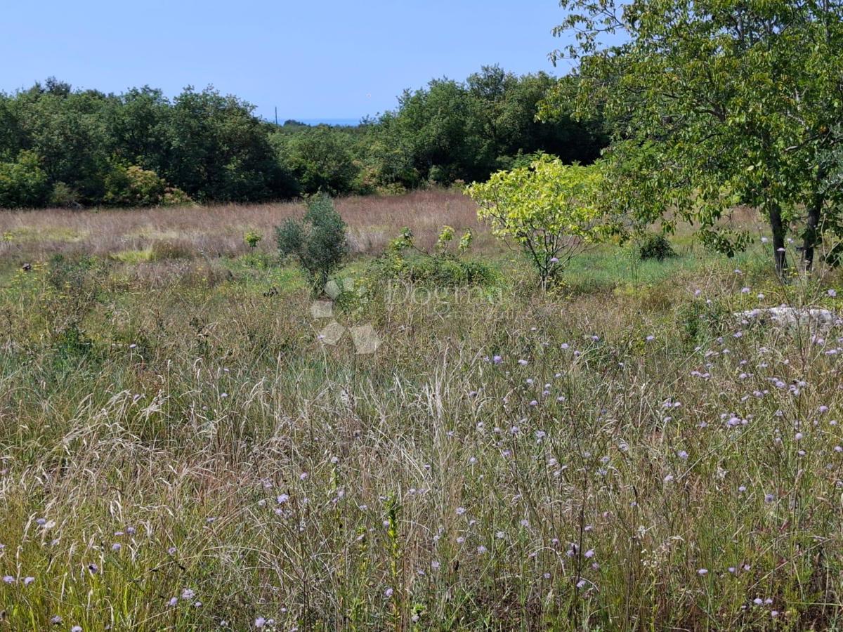 Terreno edificabile Kaštel, Buje, 999m2