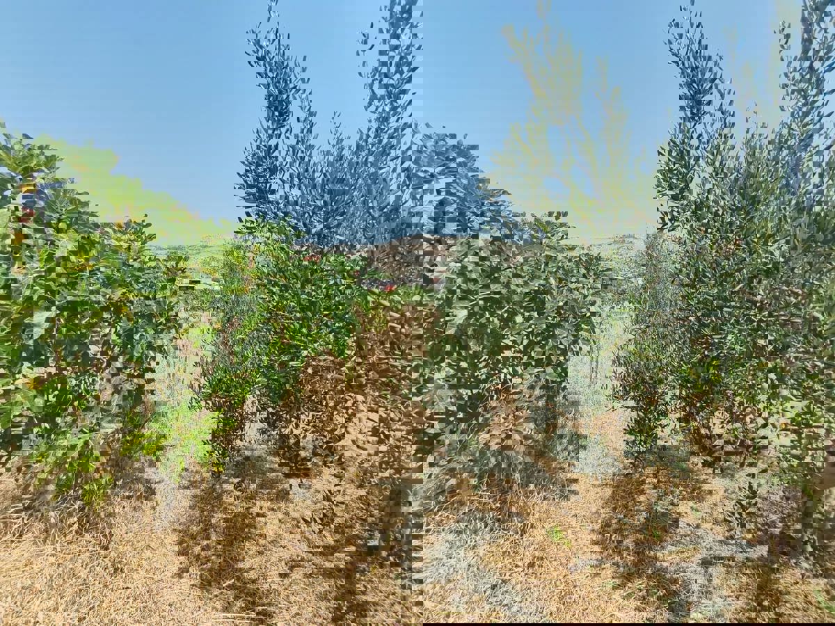 Terreno edificabile ideale per investitori - Seget Donji