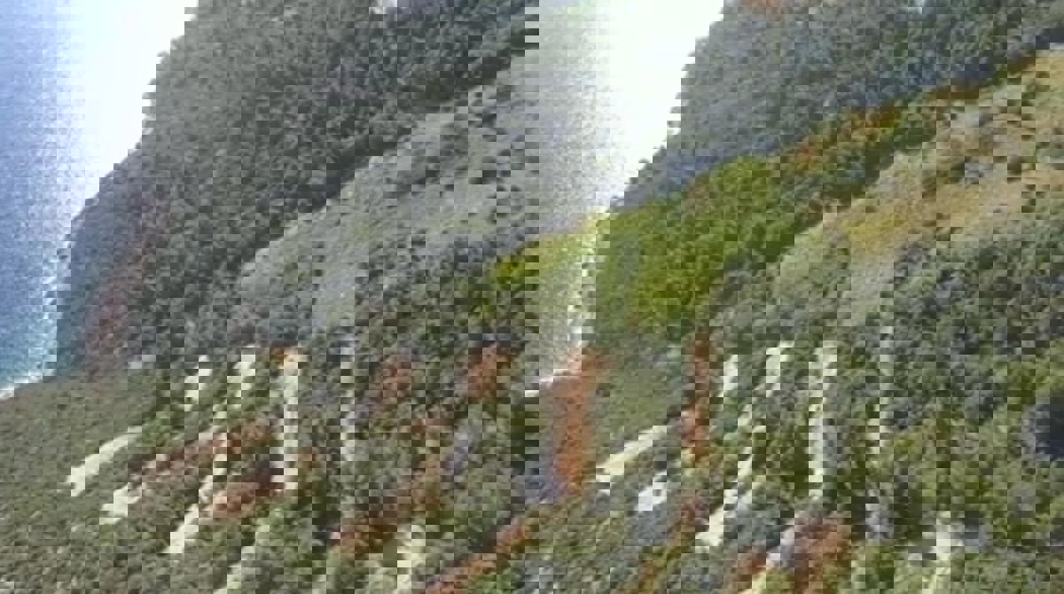 Vigneto esclusivo Dingač – Pelješac