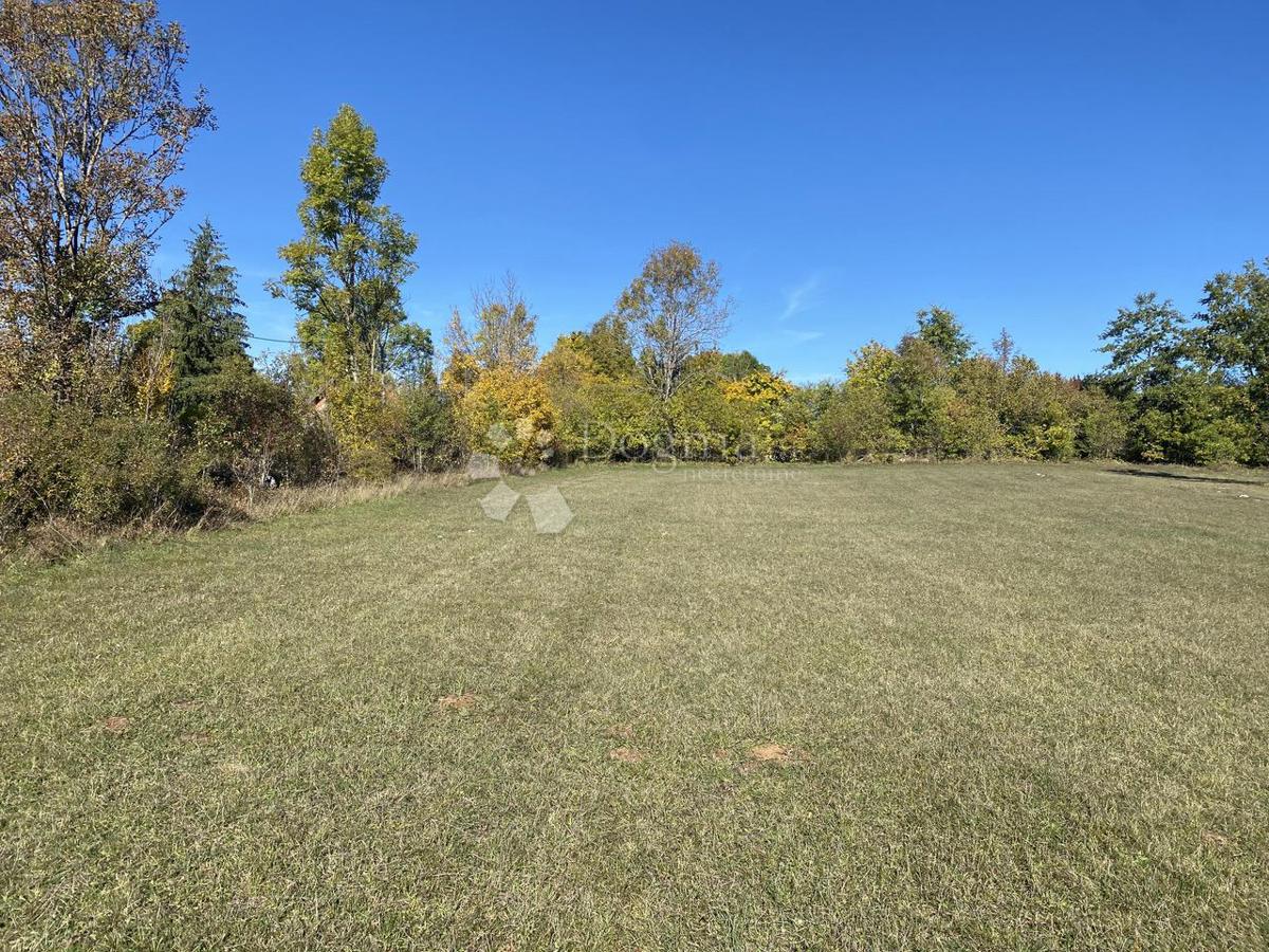 Terreno edificabile Lovinac, 42.343m2