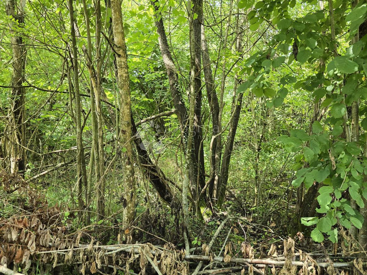 Terreno agricolo Tržić Tounjski, Tounj, 133.700m2