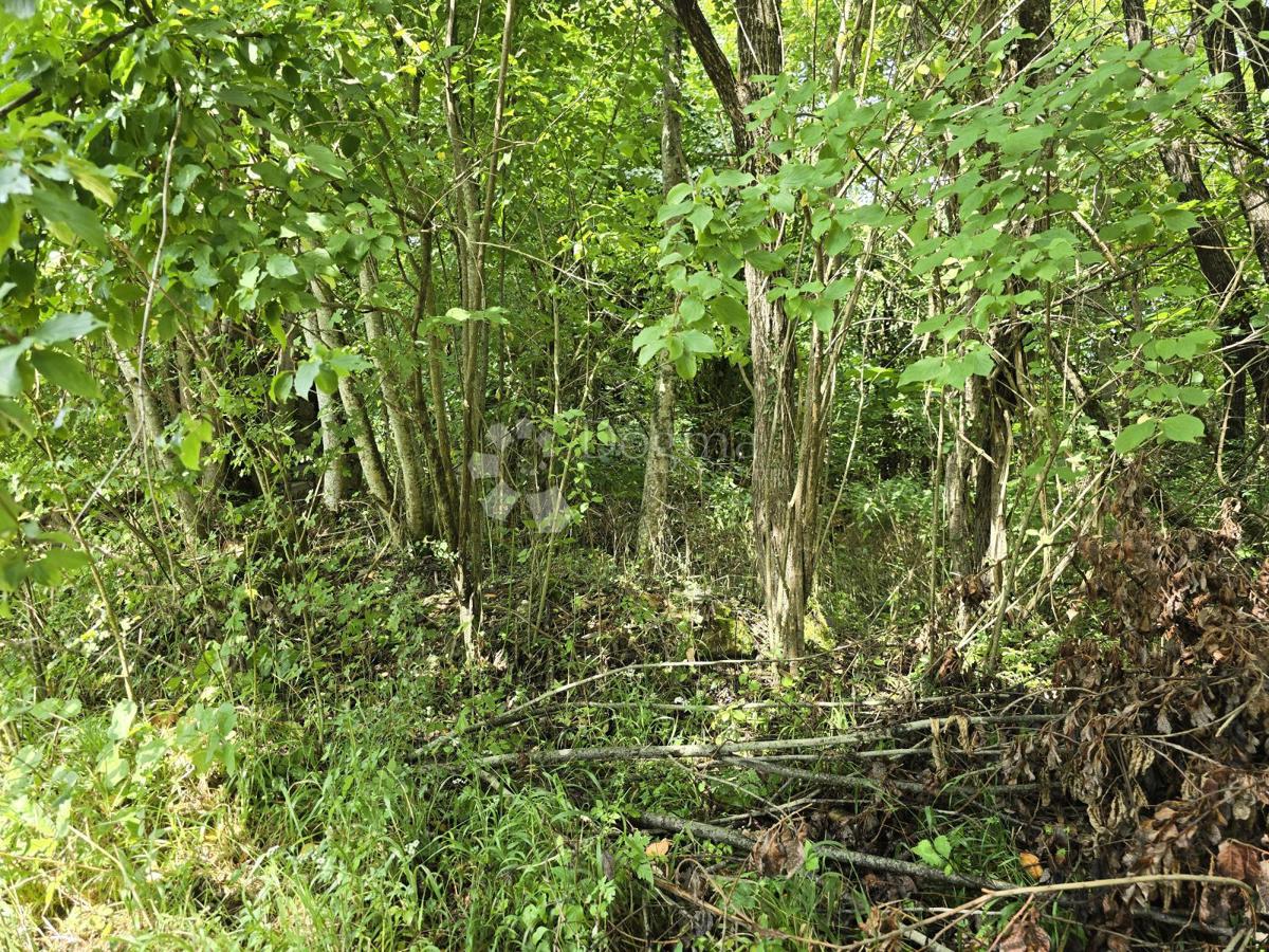 Terreno agricolo Tržić Tounjski, Tounj, 133.700m2