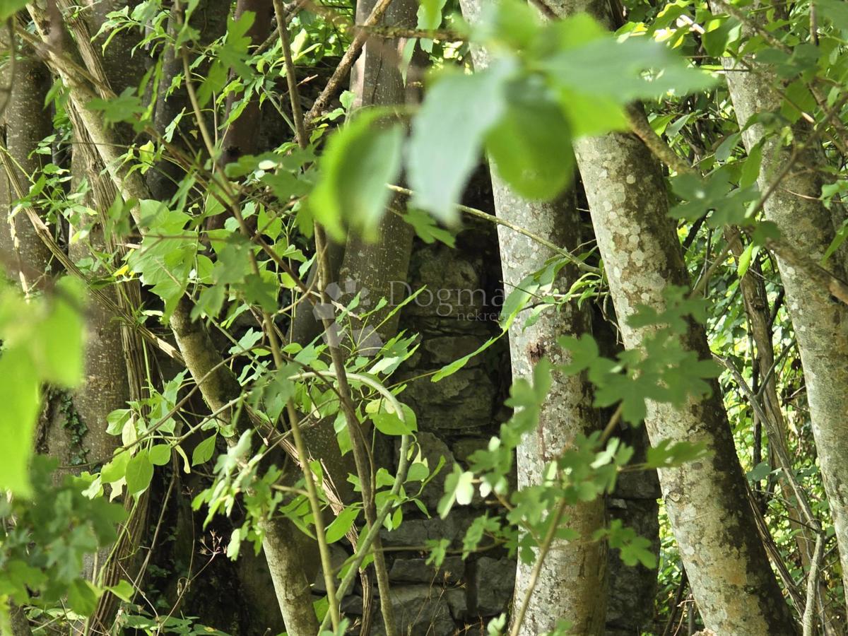 Terreno agricolo Tržić Tounjski, Tounj, 133.700m2