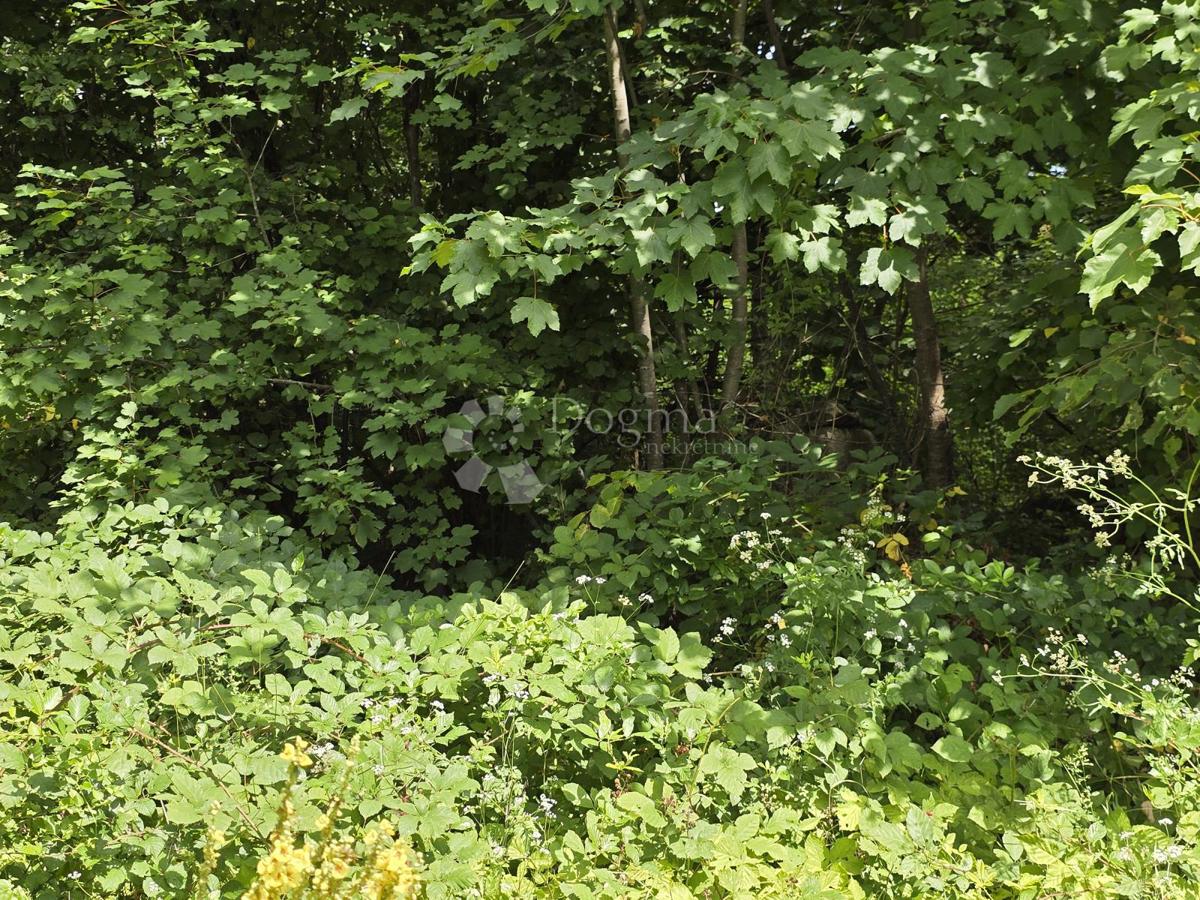 Terreno agricolo Tržić Tounjski, Tounj, 133.700m2