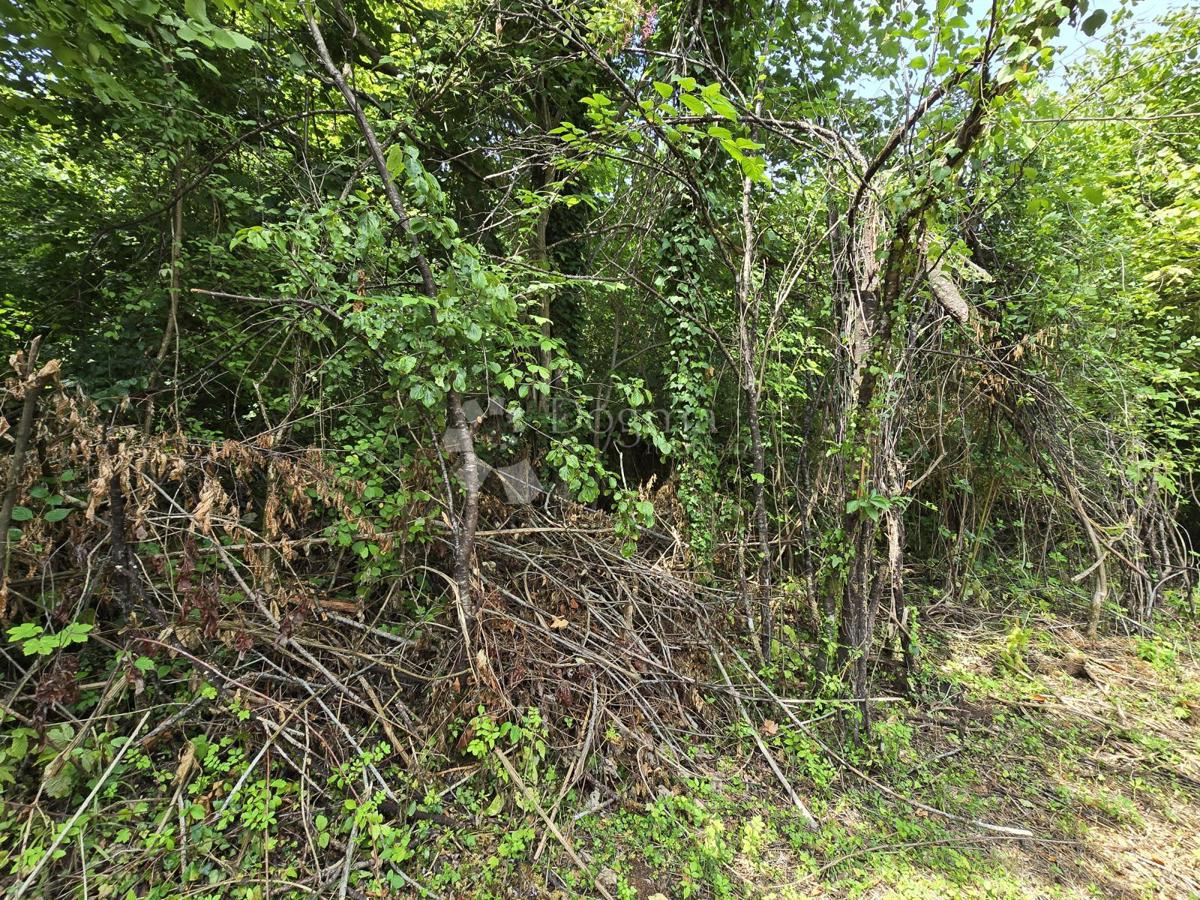 Terreno agricolo Tržić Tounjski, Tounj, 133.700m2