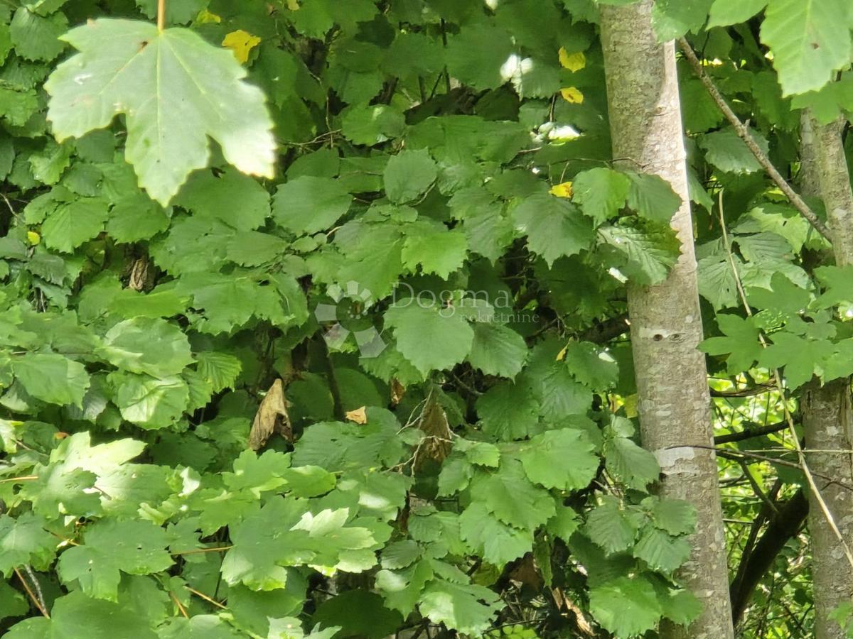 Terreno agricolo Tržić Tounjski, Tounj, 133.700m2