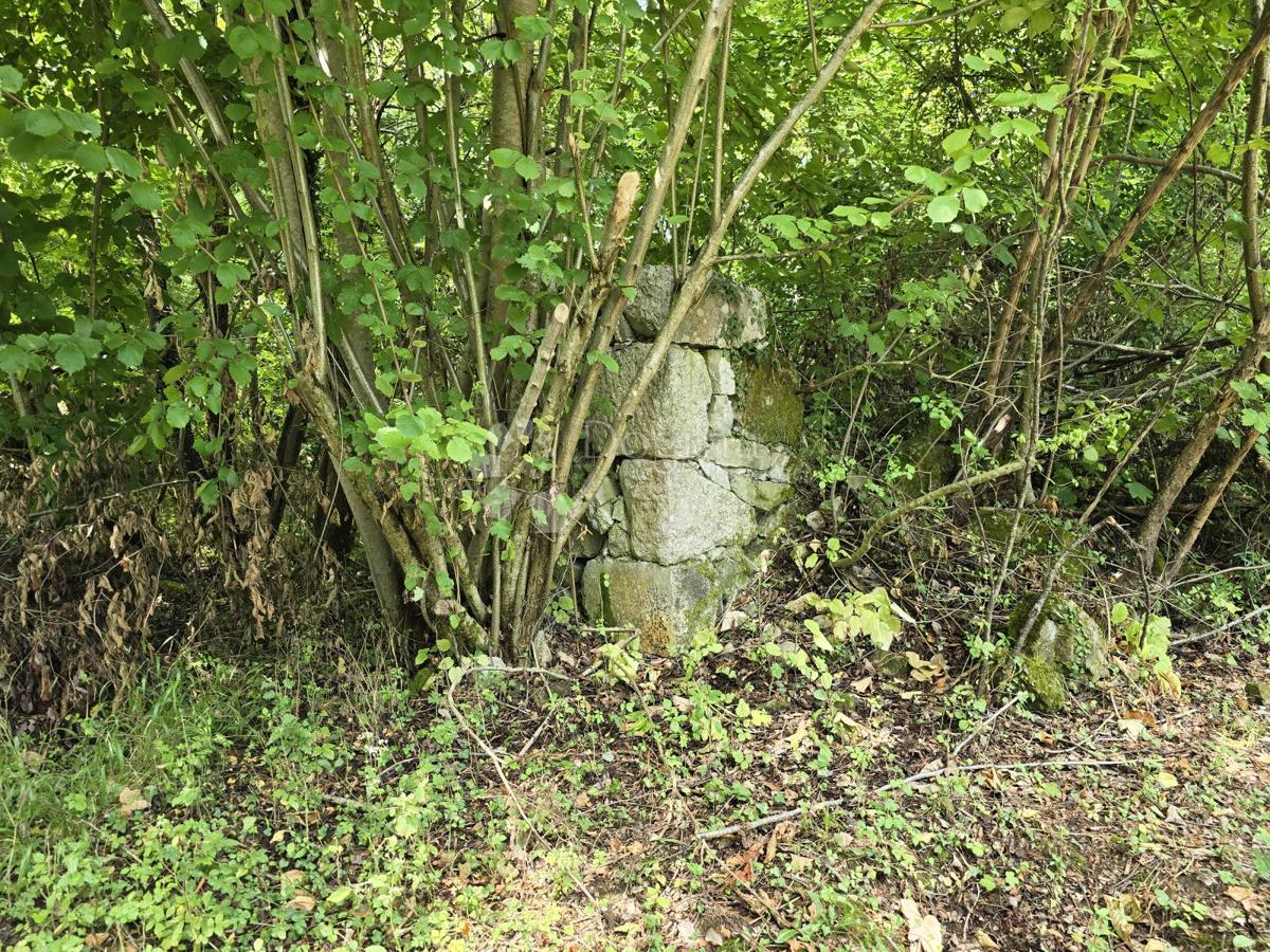 Terreno agricolo Tržić Tounjski, Tounj, 133.700m2