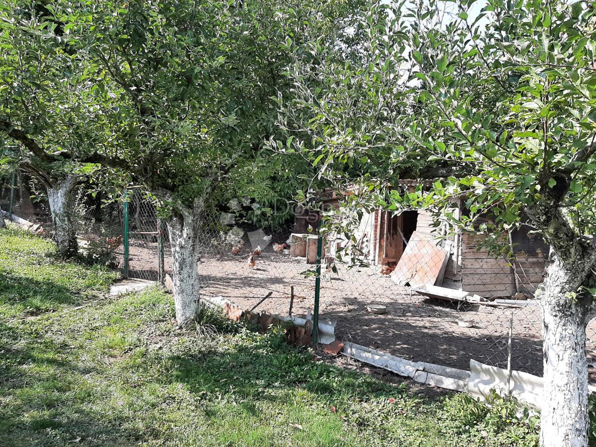 Casa Gornje Psarjevo, Sveti Ivan Zelina, 214m2