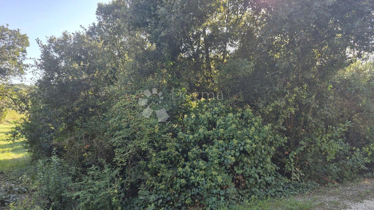 Vendesi terreno edificabile di 1024 m2