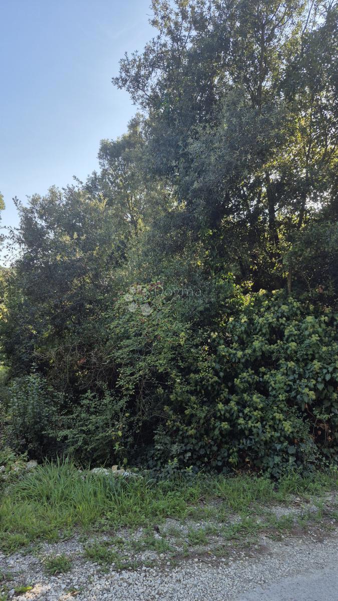 Vendesi terreno edificabile di 1024 m2