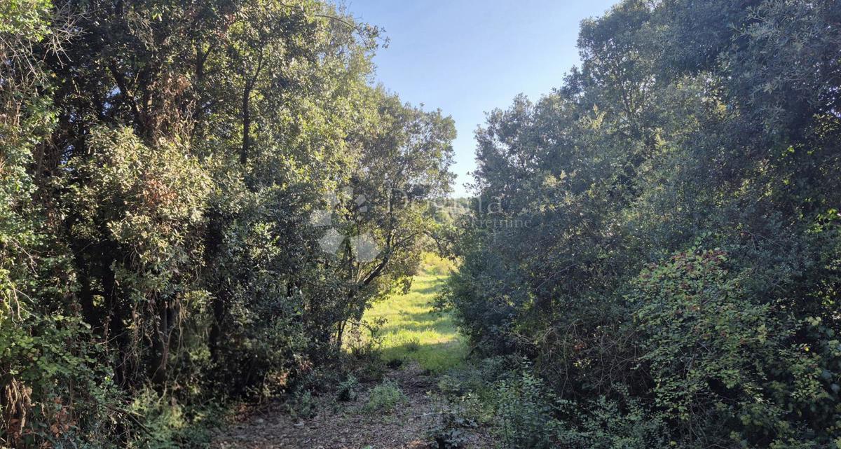 Vendesi terreno edificabile di 1024 m2