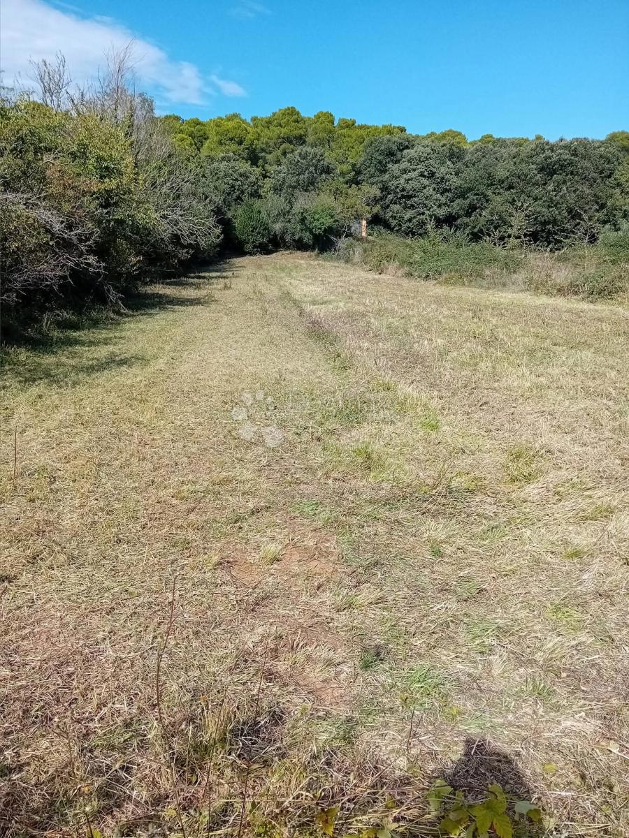 Vendesi terreno edificabile di 1024 m2