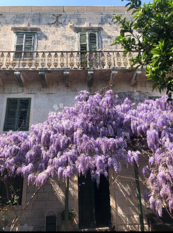 Casa Zaton, Dubrovnik - Okolica, 600m2