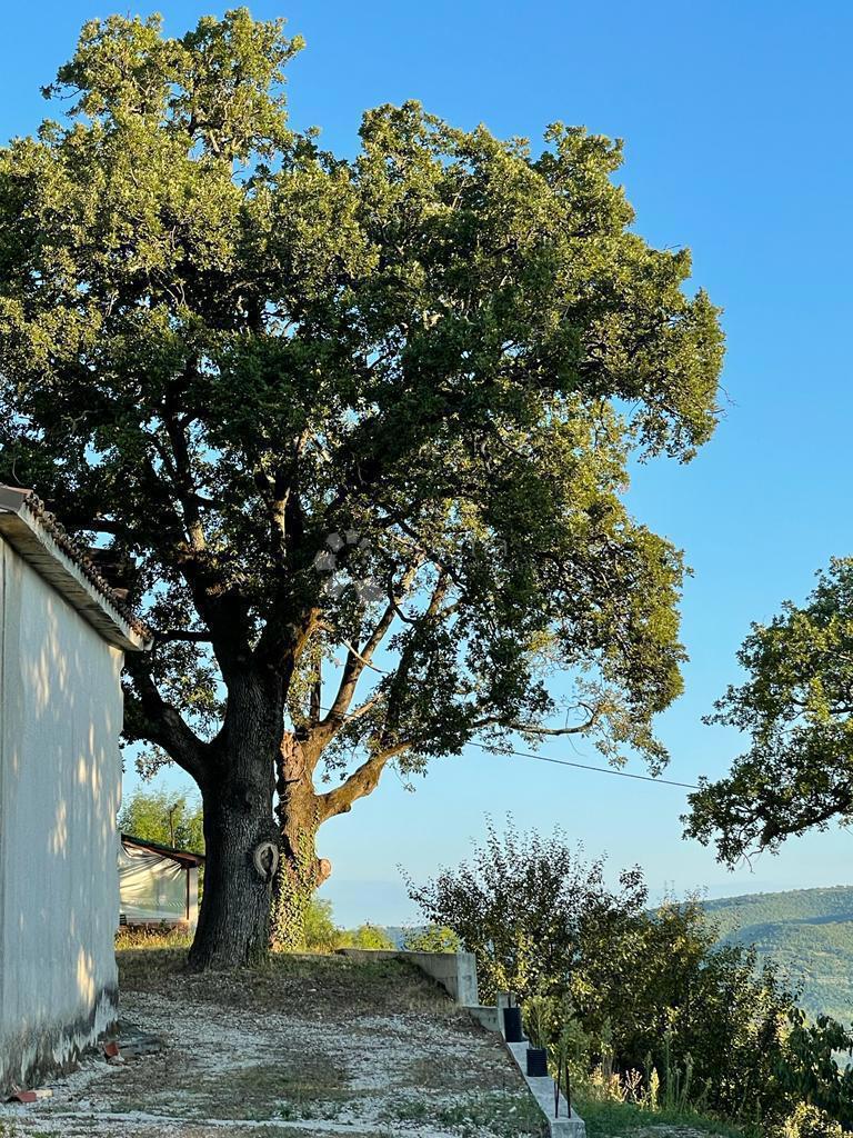 Ampio terreno edificabile con progetto