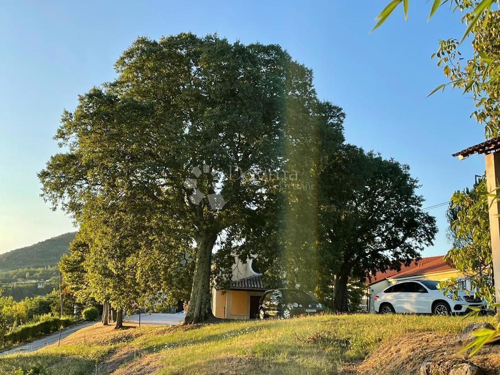 Ampio terreno edificabile con progetto