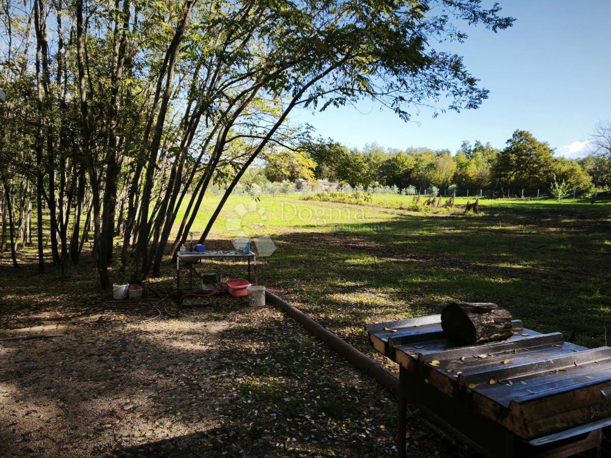 Verteneglio, attraente terreno agricolo