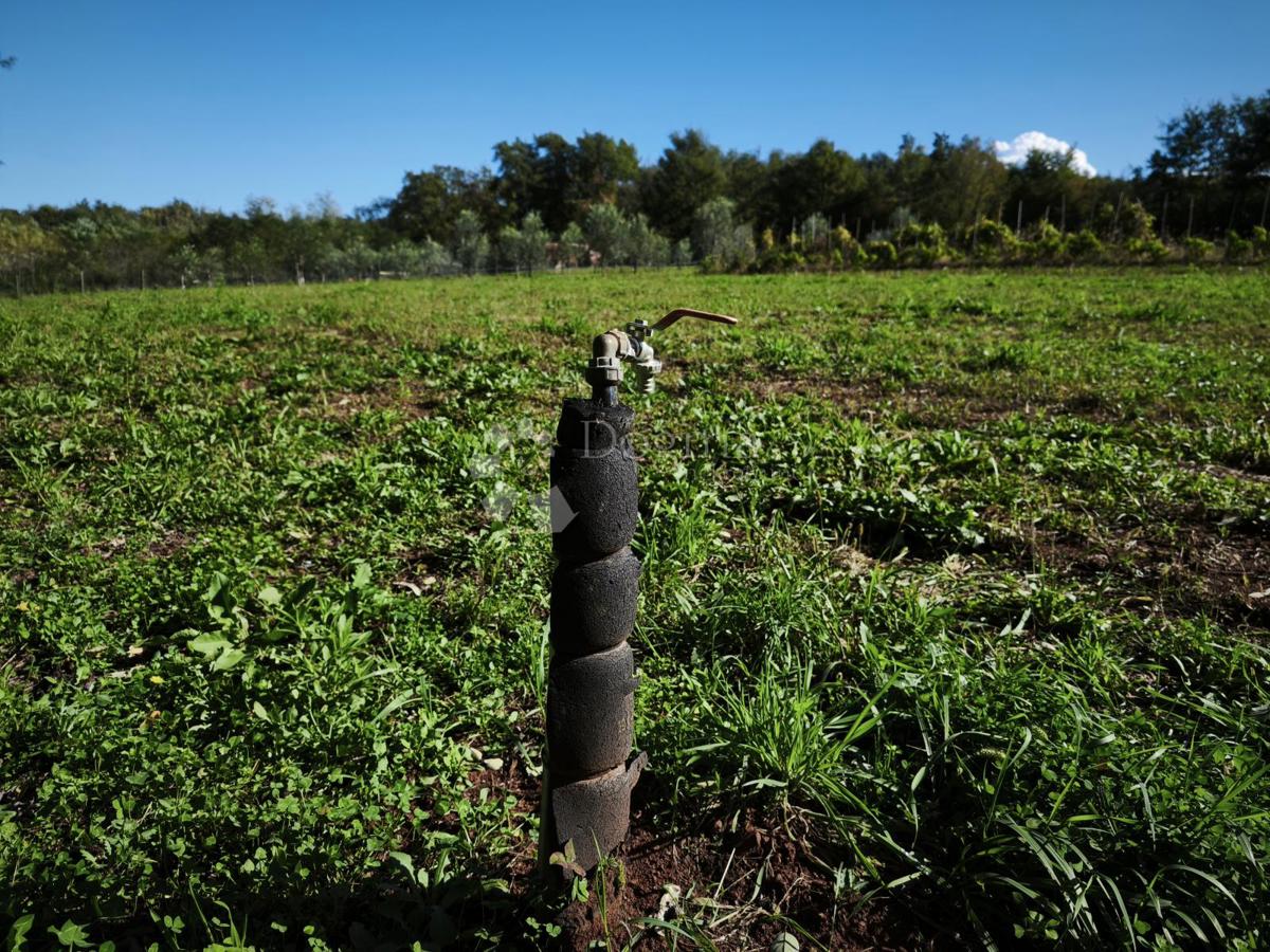 Verteneglio, attraente terreno agricolo