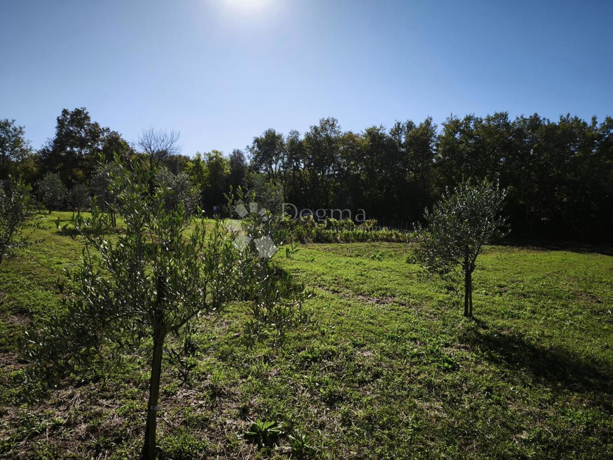 Verteneglio, attraente terreno agricolo