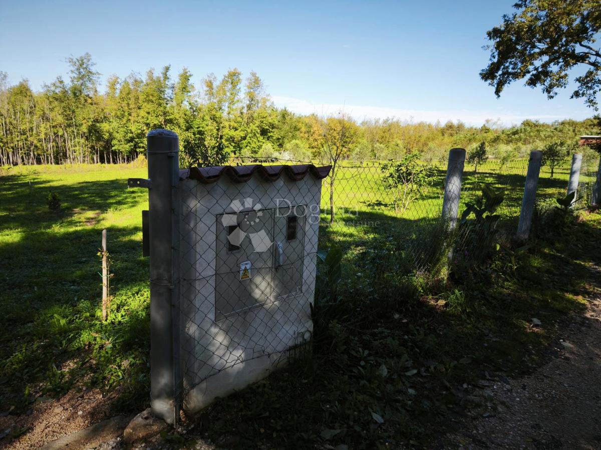 Verteneglio, attraente terreno agricolo
