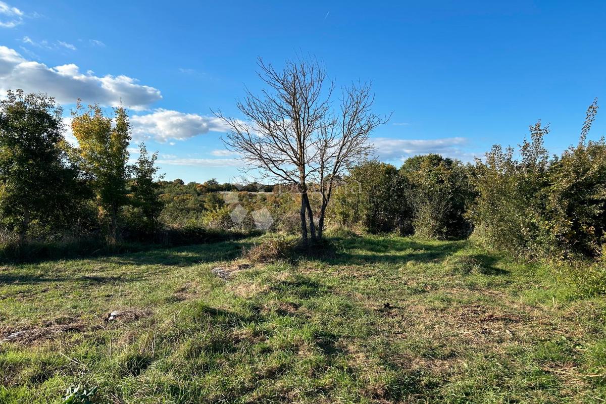 Terreno edificabile Bale, 1.235m2