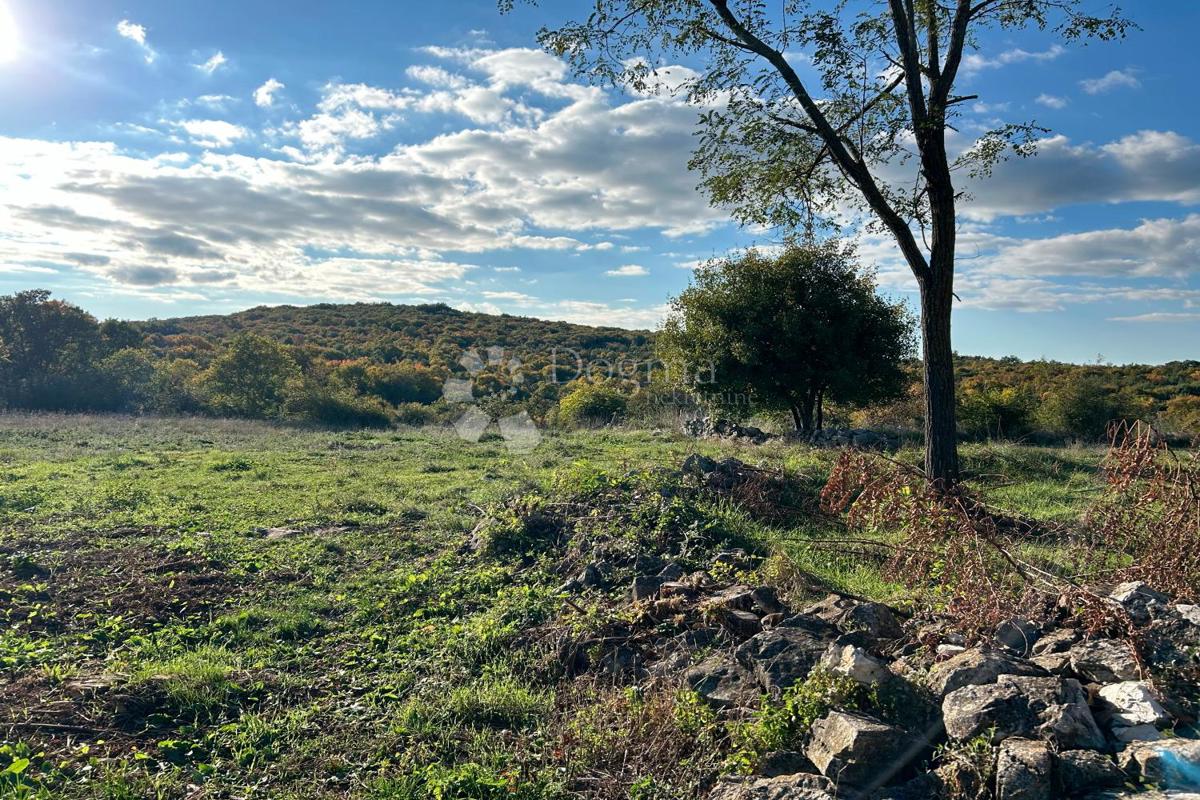 Terreno edificabile Bale, 1.235m2