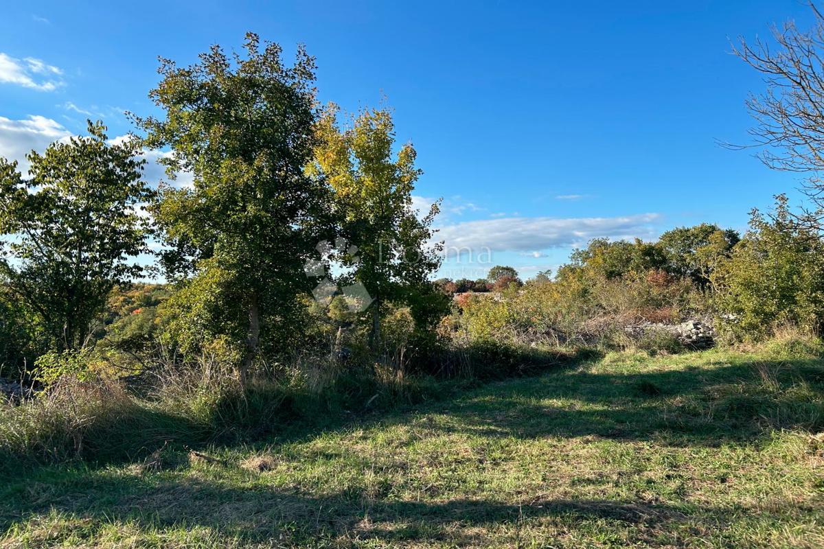 Terreno edificabile Bale, 1.235m2