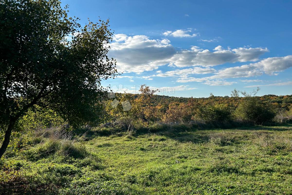 Terreno edificabile Bale, 1.235m2