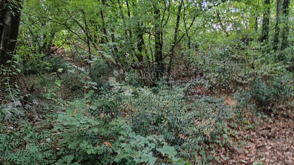 Terreno edificabile Buzdohanj, Čavle, 1.274m2